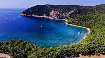 Чань