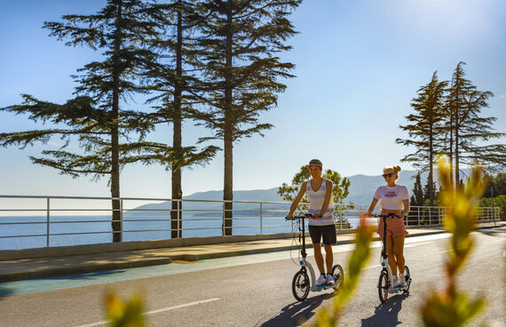 Valamar Girandella V Level  Villas