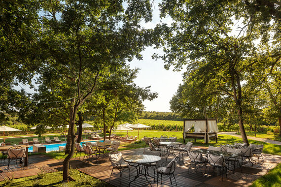Oliveto restaurant & Lounge bar