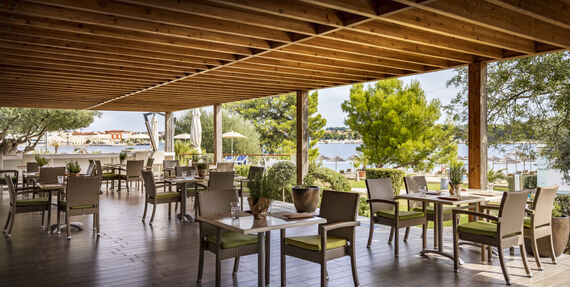 Oliva Grill