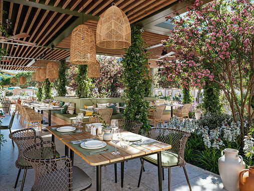  Oliva Grill