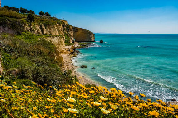 *Sciacca
